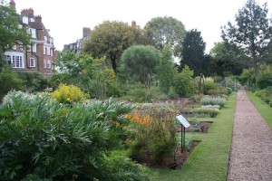 Chelsea Physic Garden